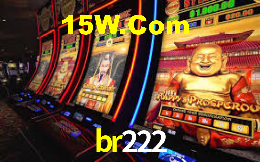 Premium Interface br222