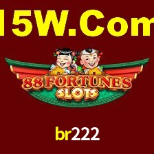 Tournaments br222